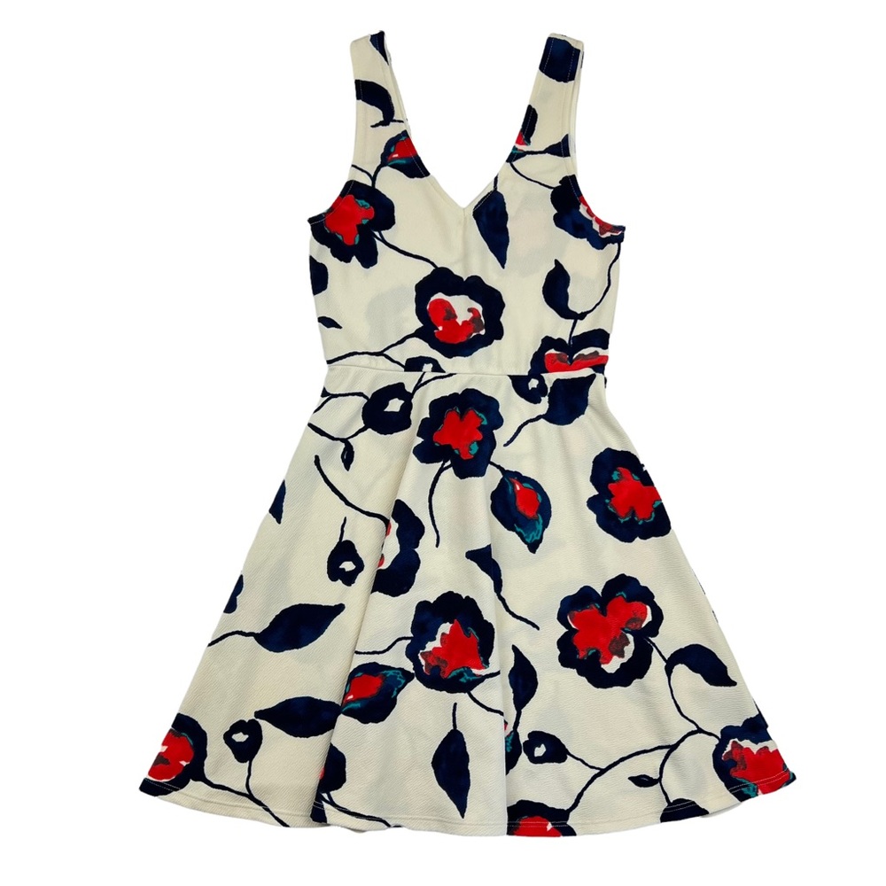 Anthro Everly Painted Poppies Dress